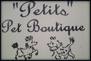 BeFunky_Les petits pets 2